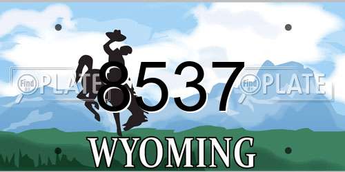8537 Wyoming License Plate