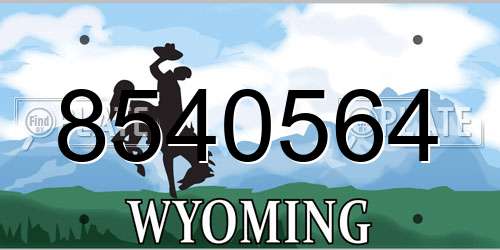 8540564 Wyoming License Plate