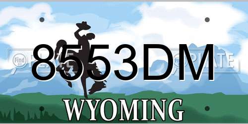 8553DM Wyoming License Plate