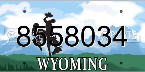 8558034 Wyoming License Plate