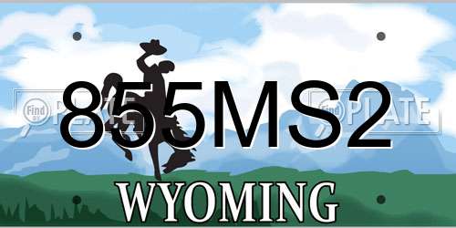 855MS2 Wyoming License Plate