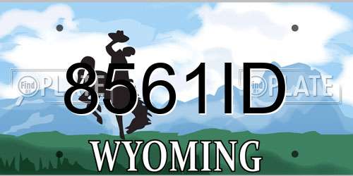 8561ID Wyoming License Plate