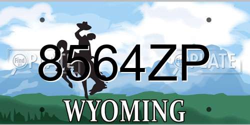 8564ZP Wyoming License Plate