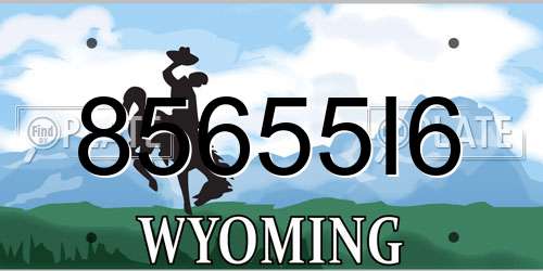 85655I6 Wyoming License Plate
