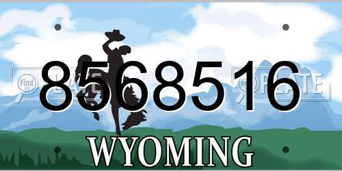 8568516 Wyoming License Plate