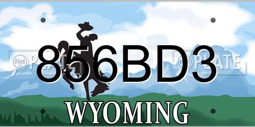 856BD3 Wyoming License Plate