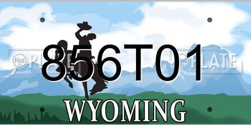 856T01 Wyoming License Plate
