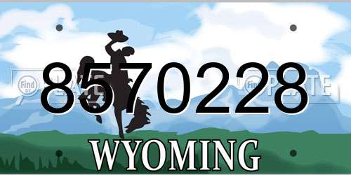 8570228 Wyoming License Plate