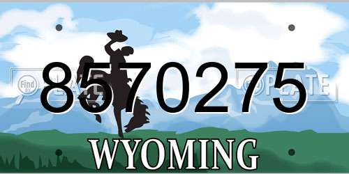 8570275 Wyoming License Plate