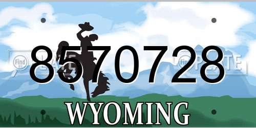 8570728 Wyoming License Plate