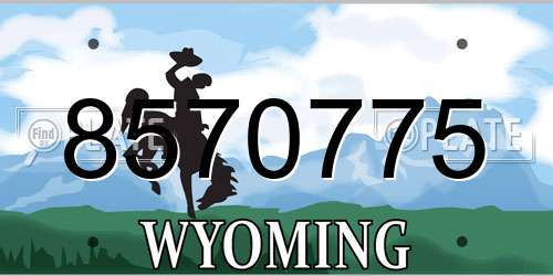 8570775 Wyoming License Plate