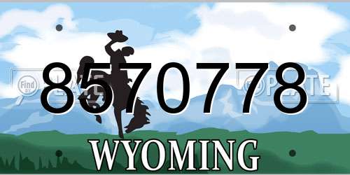 8570778 Wyoming License Plate