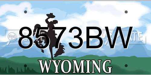 8573BW Wyoming License Plate