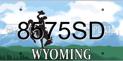 8575SD Wyoming License Plate
