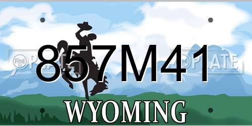 857M41 Wyoming License Plate