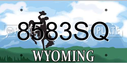 8583SQ Wyoming License Plate