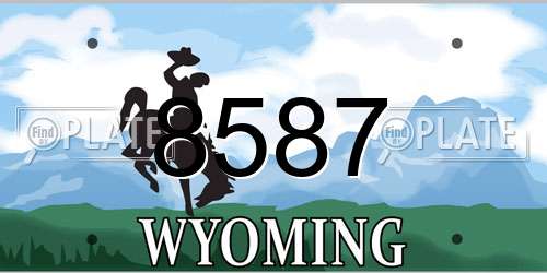 8587 Wyoming License Plate