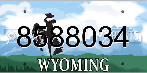 8588034 Wyoming License Plate