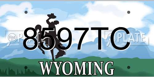 8597TC Wyoming License Plate