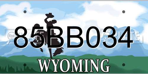 85BB034 Wyoming License Plate