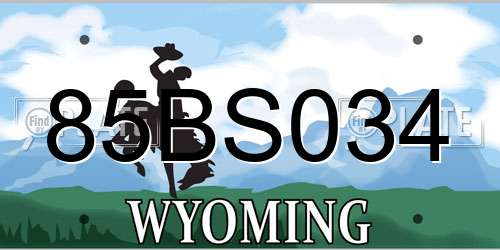 85BS034 Wyoming License Plate