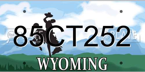 85CT252 Wyoming License Plate