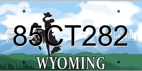 85CT282 Wyoming License Plate
