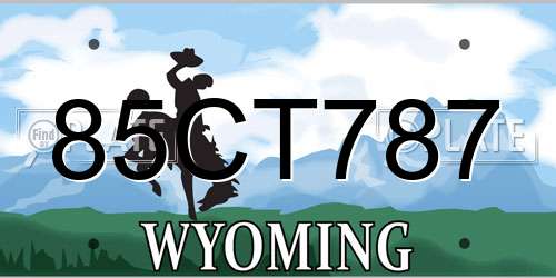 85CT787 Wyoming License Plate