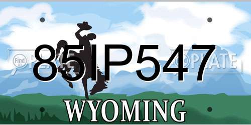 85IP547 Wyoming License Plate