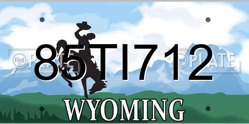 85TI712 Wyoming License Plate