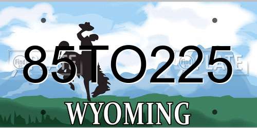 85TO225 Wyoming License Plate