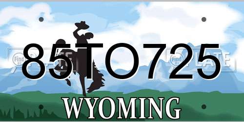 85TO725 Wyoming License Plate