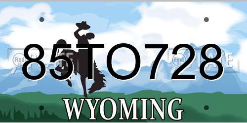 85TO728 Wyoming License Plate