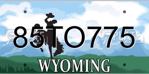 85TO775 Wyoming License Plate