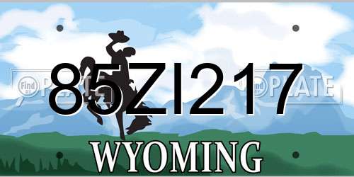 85ZI217 Wyoming License Plate