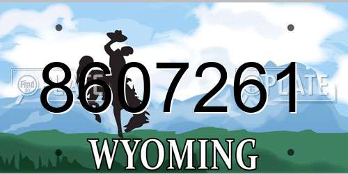 8607261 Wyoming License Plate