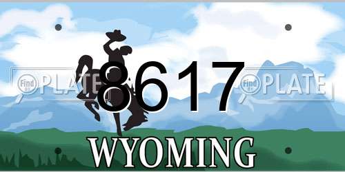 8617 Wyoming License Plate