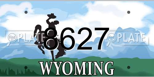 8627 Wyoming License Plate
