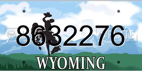 8632276 Wyoming License Plate
