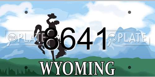 8641 Wyoming License Plate