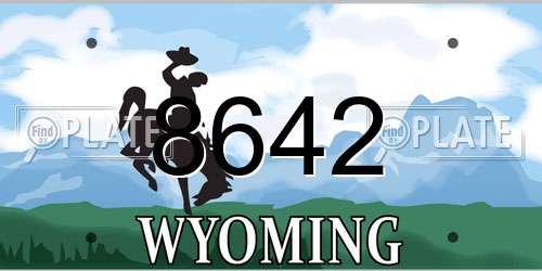 8642 Wyoming License Plate