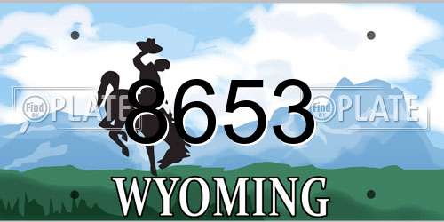 8653 Wyoming License Plate