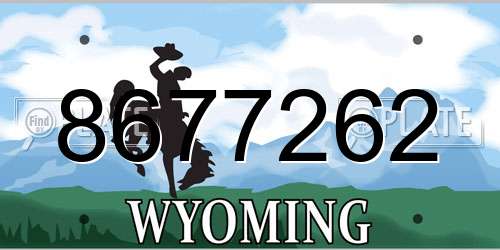 8677262 Wyoming License Plate