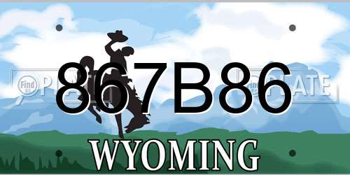867B86 Wyoming License Plate