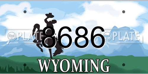 8686 Wyoming License Plate