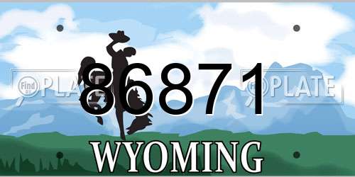 86871 Wyoming License Plate