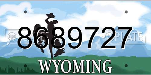 8689727 Wyoming License Plate
