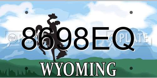 8698EQ Wyoming License Plate