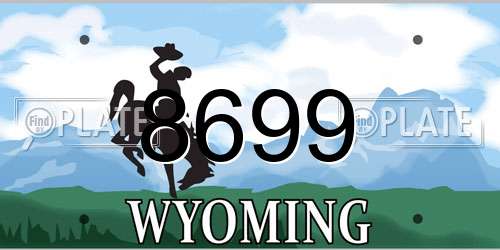 8699 Wyoming License Plate
