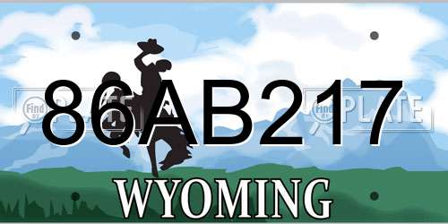 86AB217 Wyoming License Plate